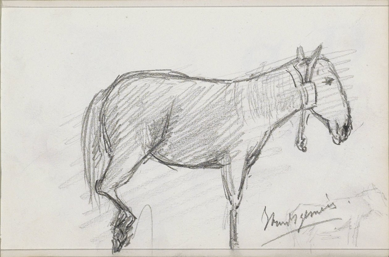 Hest af Isaac Gosschalk