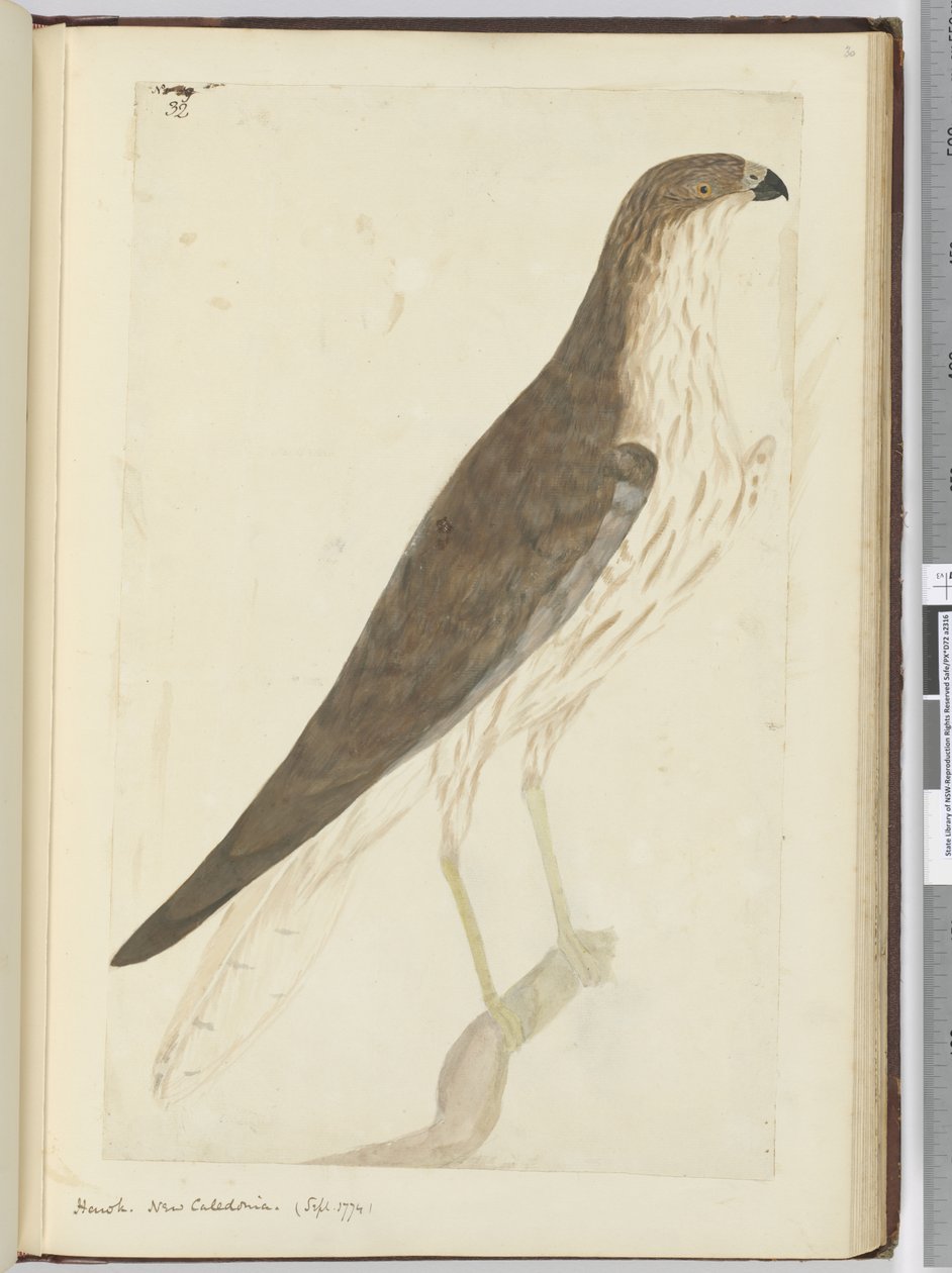 F.32 Høg. Ny Kaledonien. (sept. 1774), 1772-75 (wc) af Isaac Smith