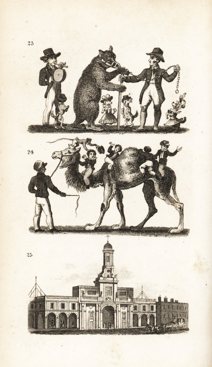 Dansende bjørn og hund, kamel og abe og Royal Exchange af Isaac Taylor