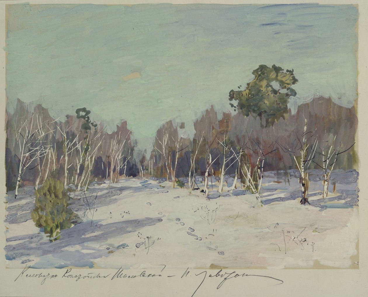 Have i sne, 1880