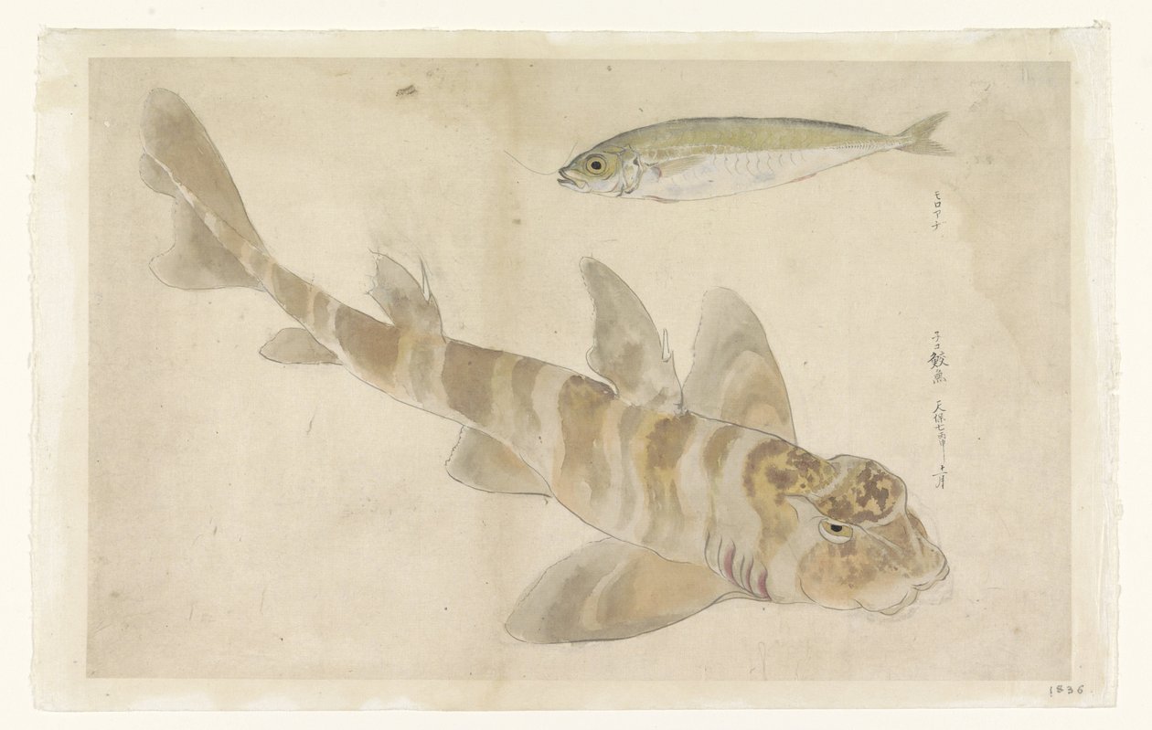 To fisk: Gurn (?) og sild af Ishikawa Kazan