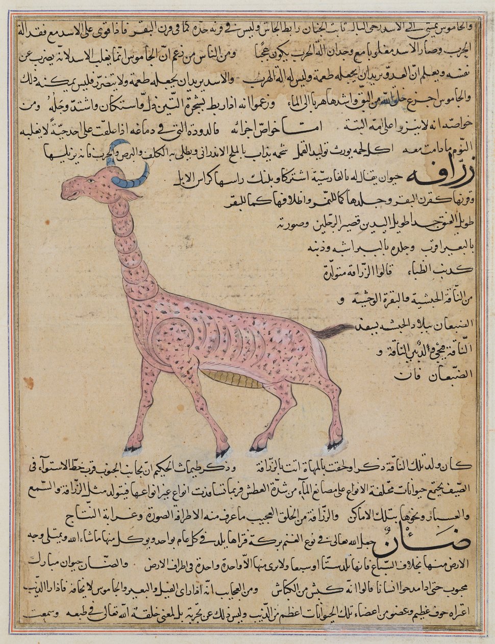 Ms E-7 fol.180 A Giraffe, fra 