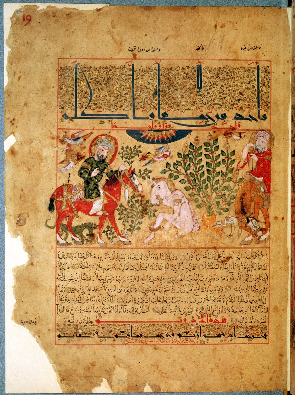 Ms. Arabe 2964 fol.19 Doktoren Anoromachus helbreder sin bror bidt af en slange, fra Treatise of Theriac efter Galien, 1217 af Islamic School