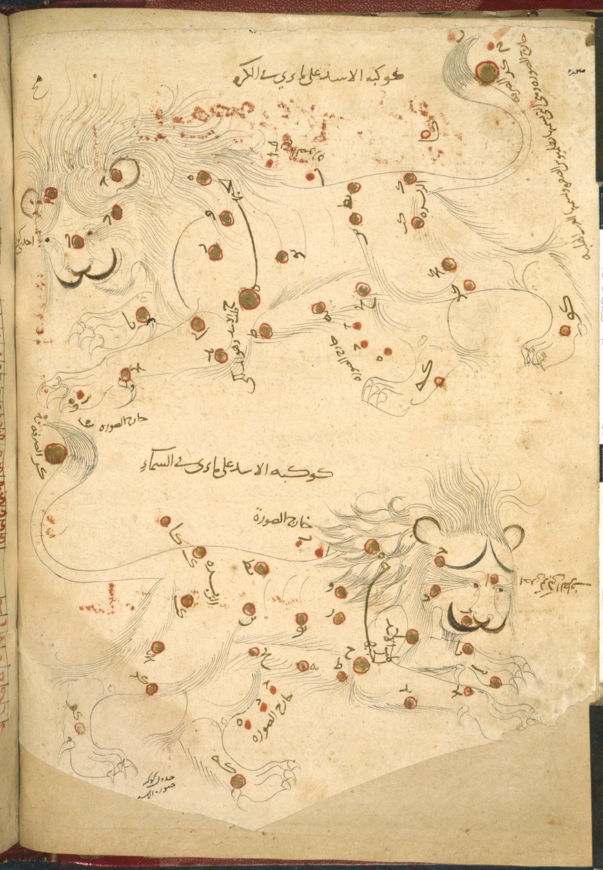 Eller 5323 f.45v To løver, illustration fra 
