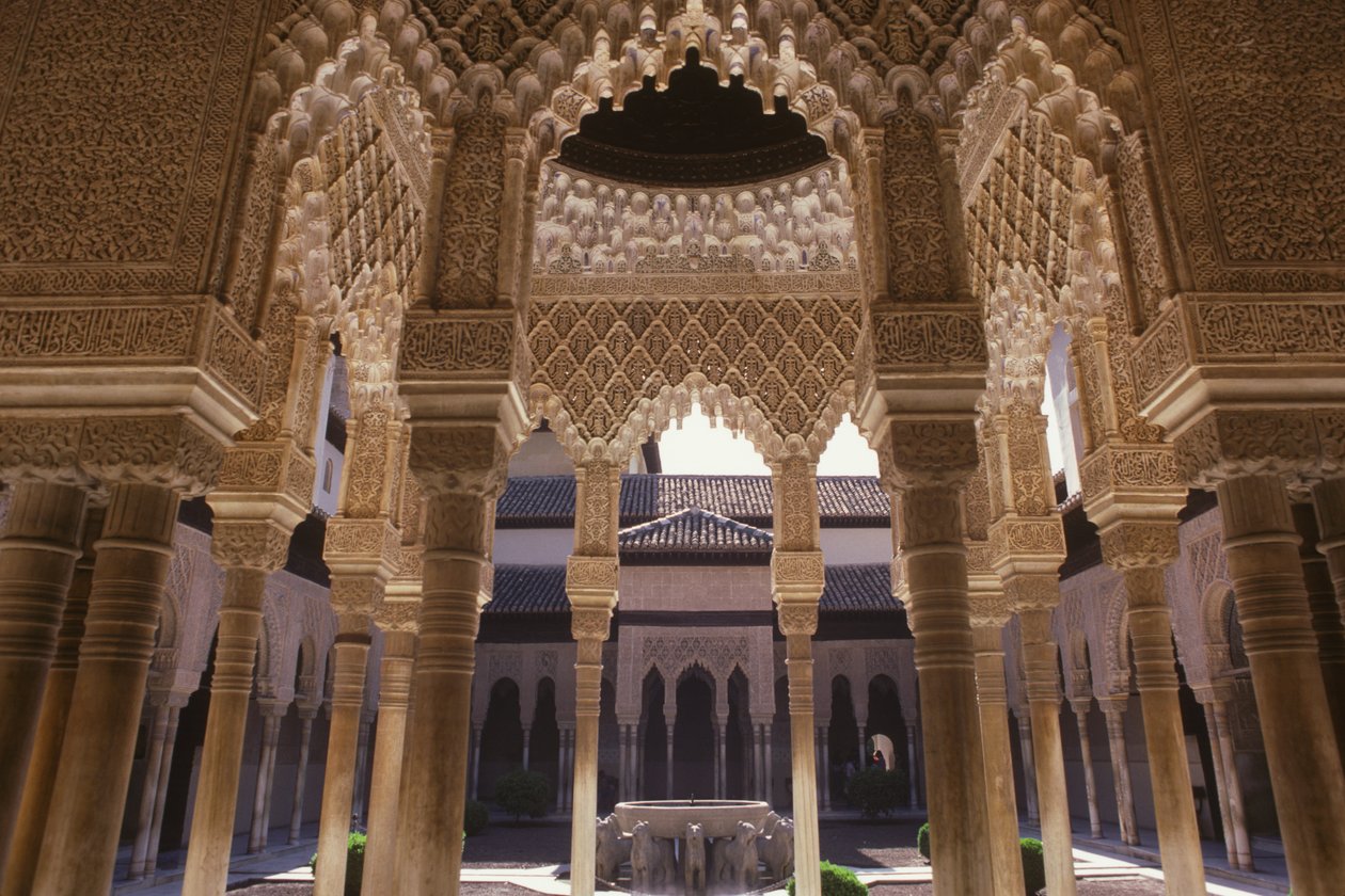 Løveretten af Islamic School
