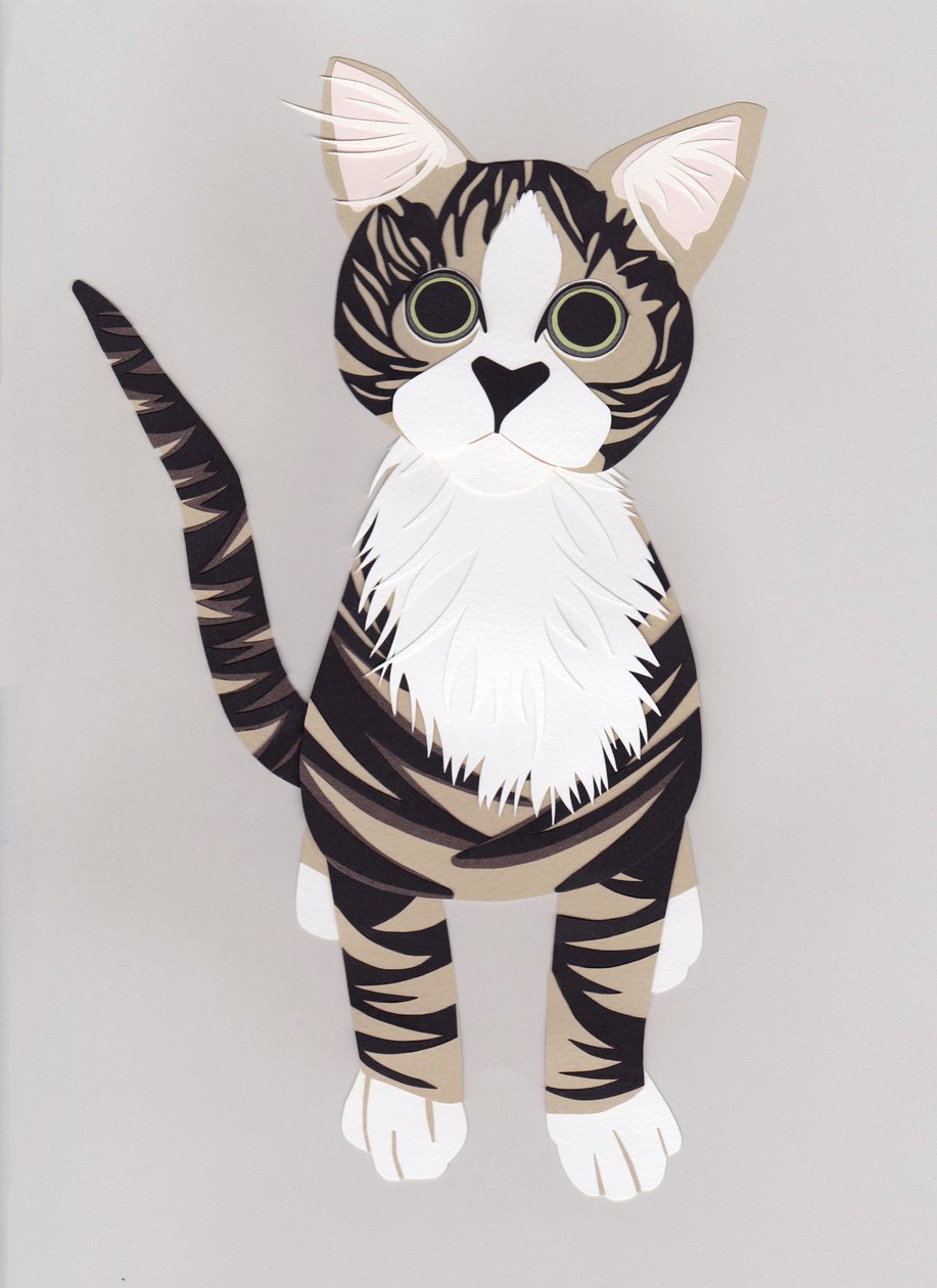 Pussycat, 2016 (papir) af Isobel Barber