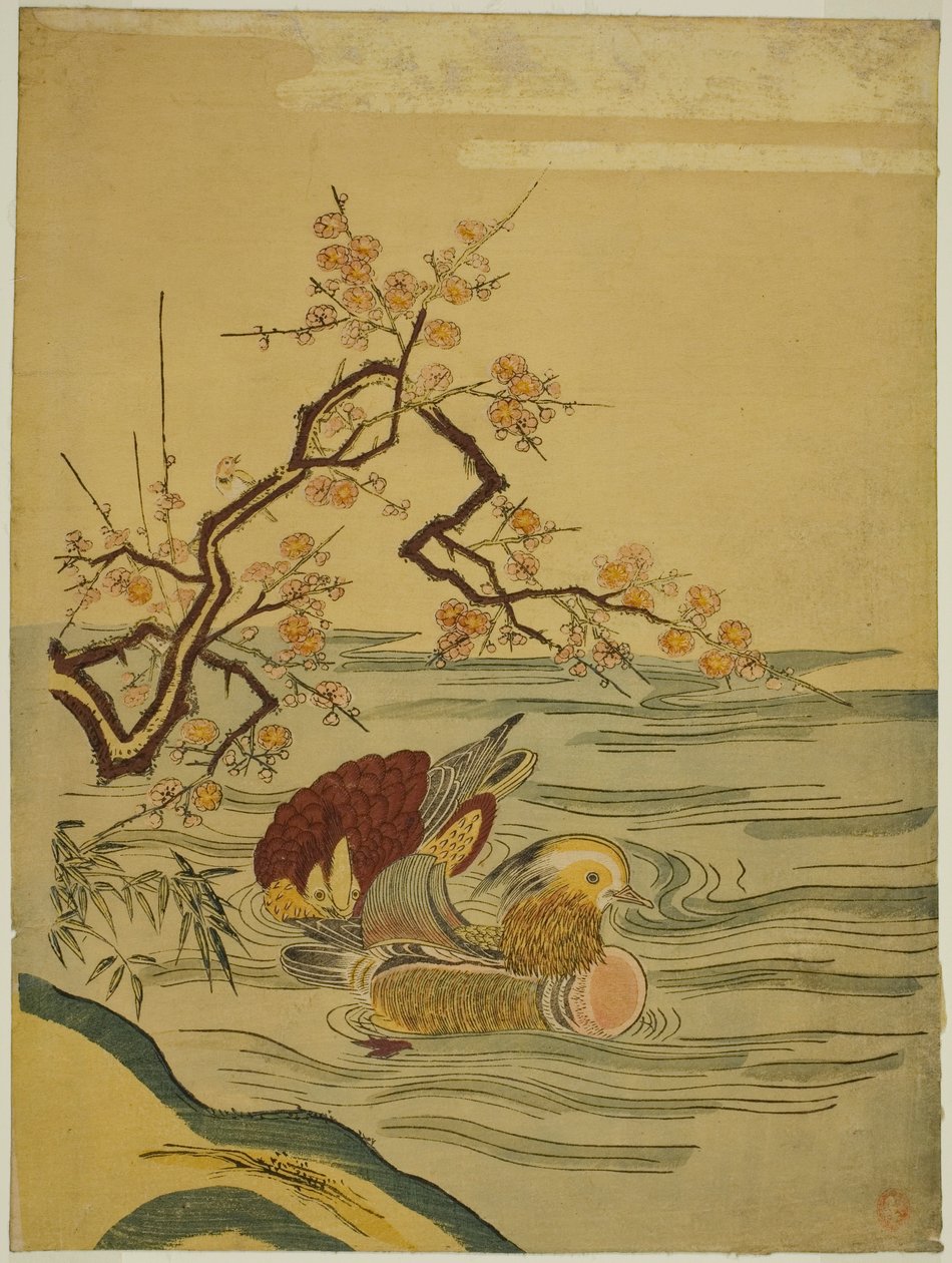 Mandarinænder svømmer under blommegren af Isoda Koryusai