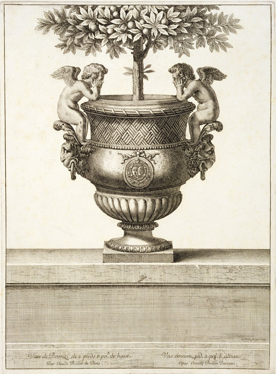 Bronzeurner som brugt til citrustræer, illustration fra 