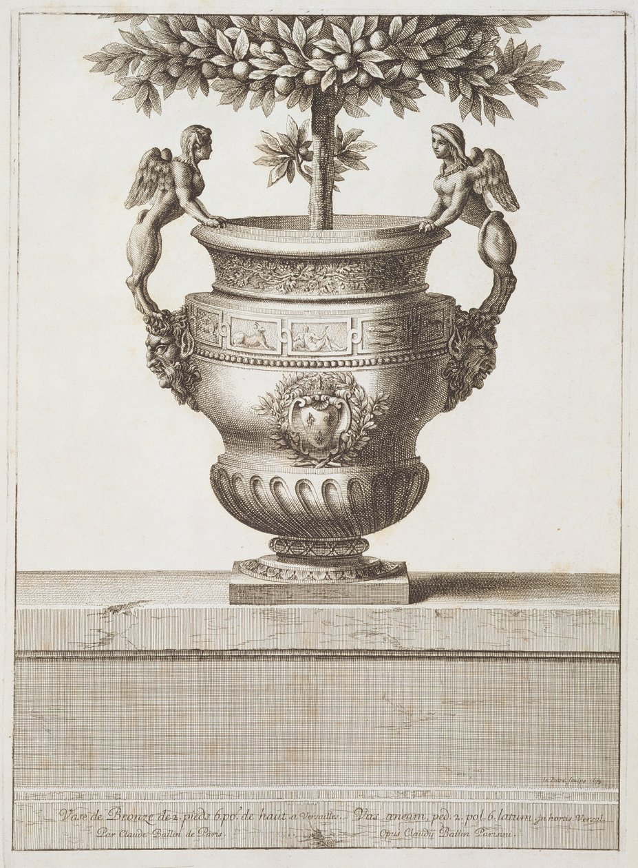 Bronzeurner som brugt til citrustræer, illustration fra 