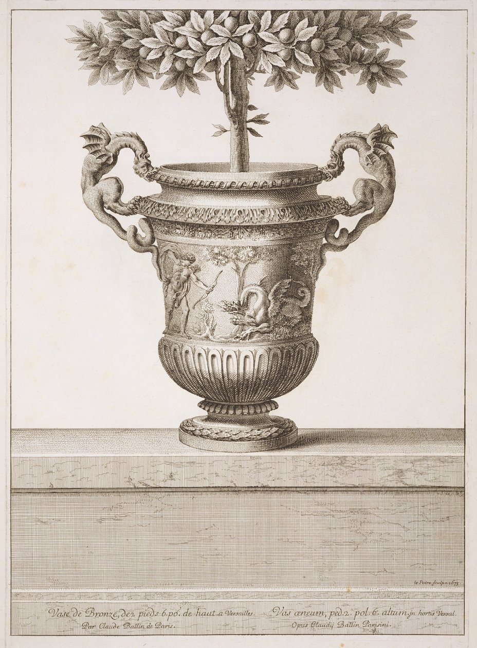Bronzeurner som brugt til citrustræer, illustration fra 