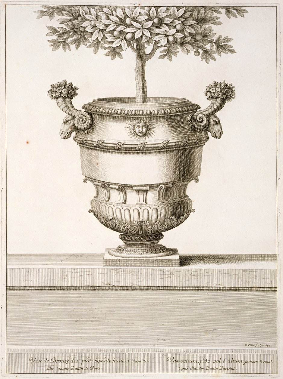 Bronzeurner som brugt til citrustræer, illustration fra 