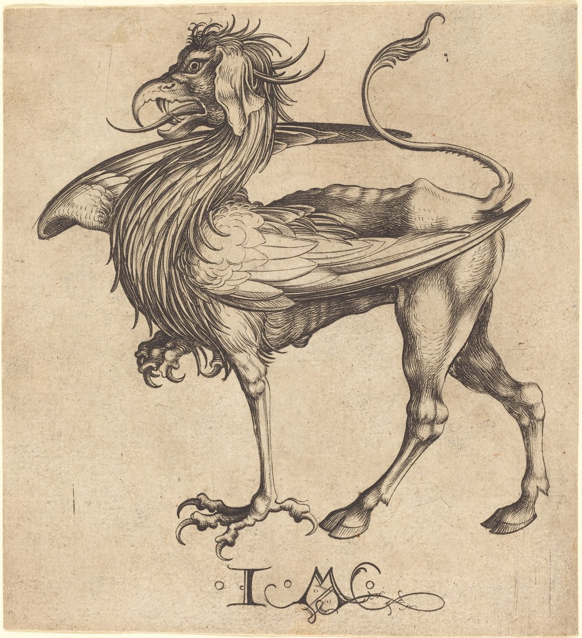 Griffinen af Israhel van Meckenem after Martin Schongauer