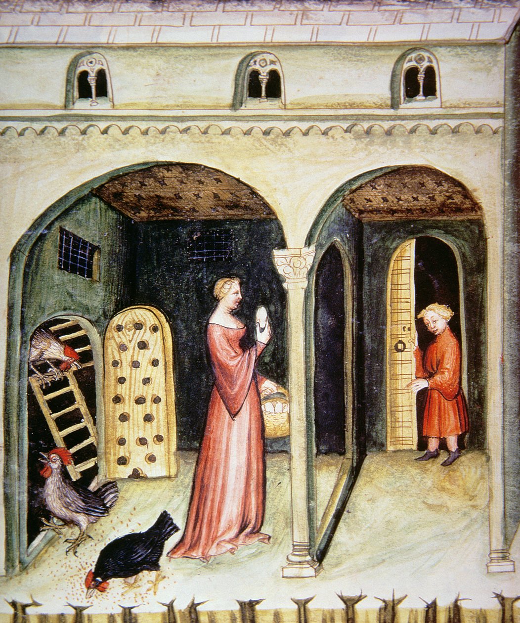 Fol.65v opdrætshøns, illustration fra Tacuinum Santiatis Codex Vindobonensis af Italian School