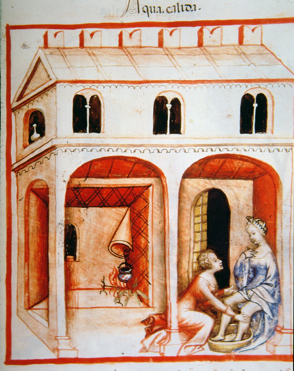 Fol.89r Hot Water, illustration fra Tacuinum Santiatis Codex Vindobonensis af Italian School