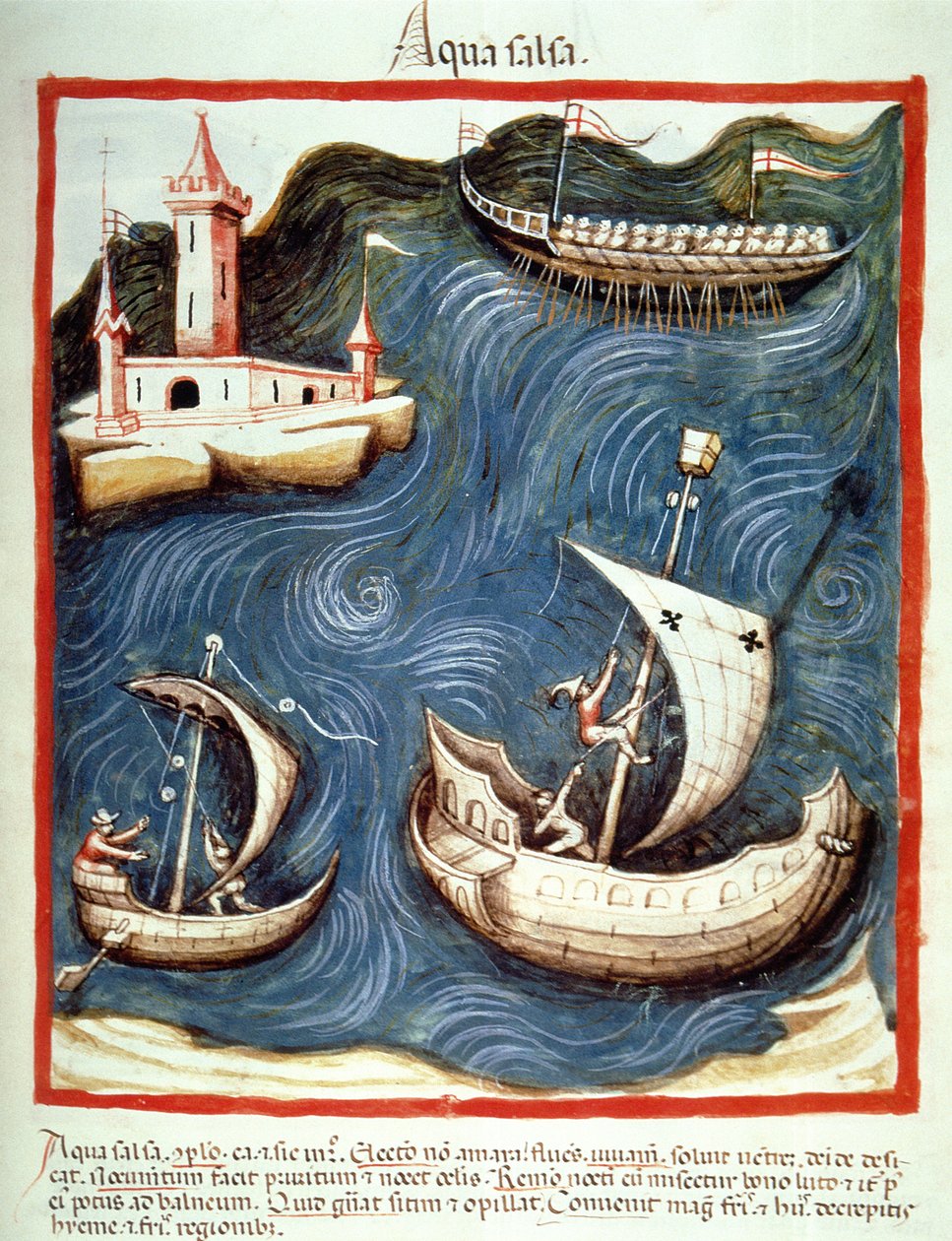 Nova 2644 f.88r Boats on the Sea, illustration fra Tacuinum Santiatis Codex Vindobonensis af Italian School