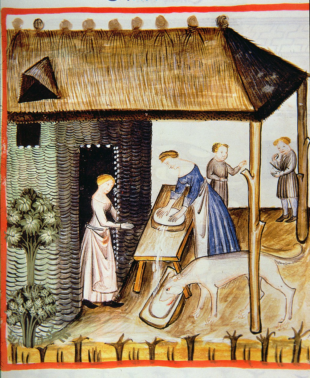 Nova 2644 fol.60r Tilberedning af friskost, fra Tacuinum Sanitatis af Italian School