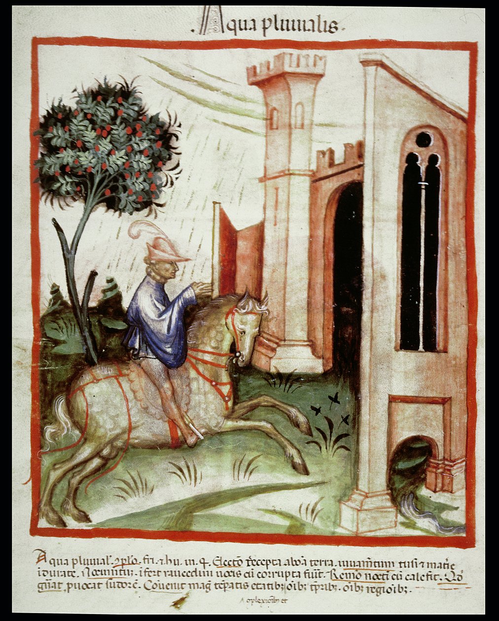 Nova 2644 fol.89v Regnvand, fra Tacuinum Sanitatis af Italian School