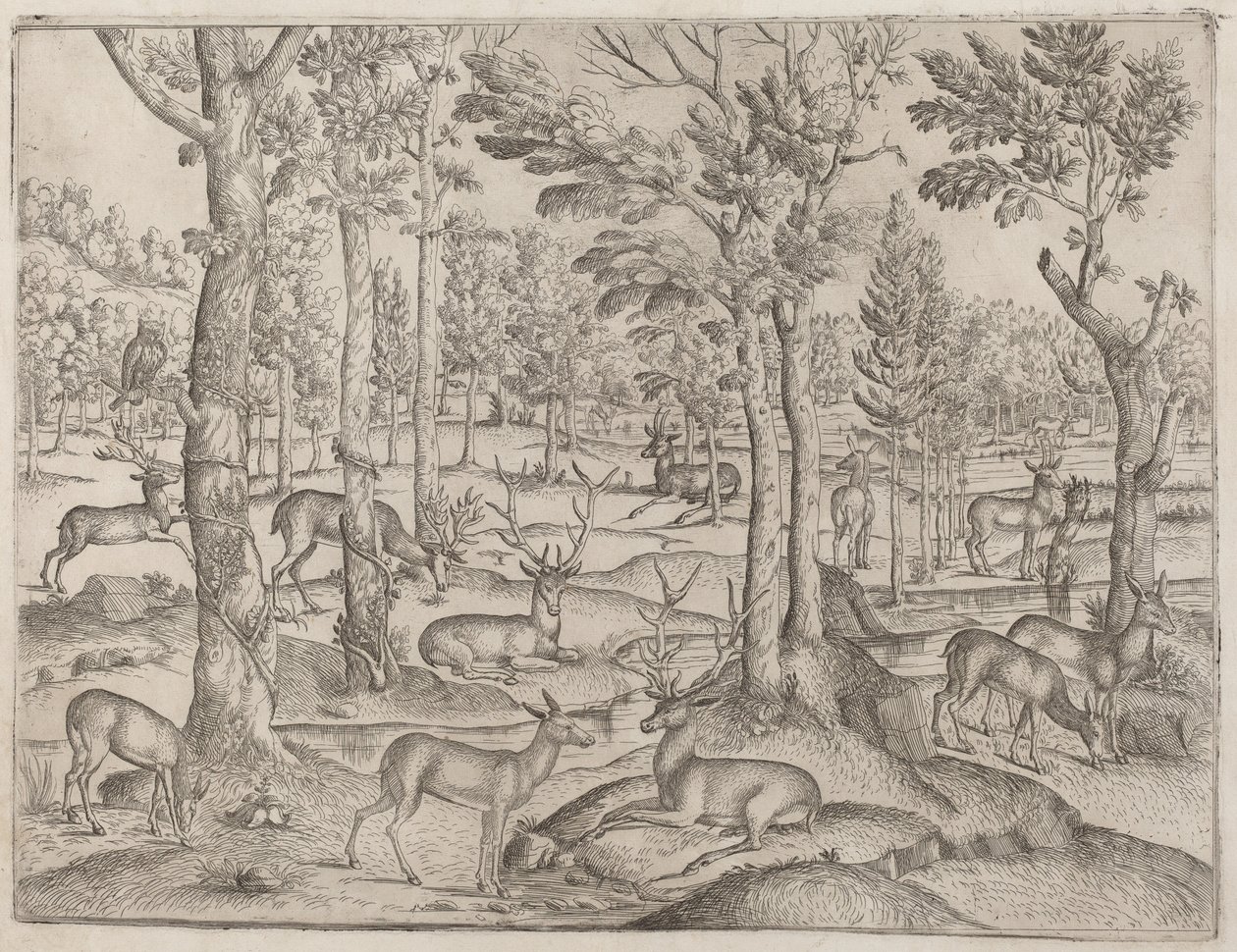 Rådyr i skoven af Italian 16th Century