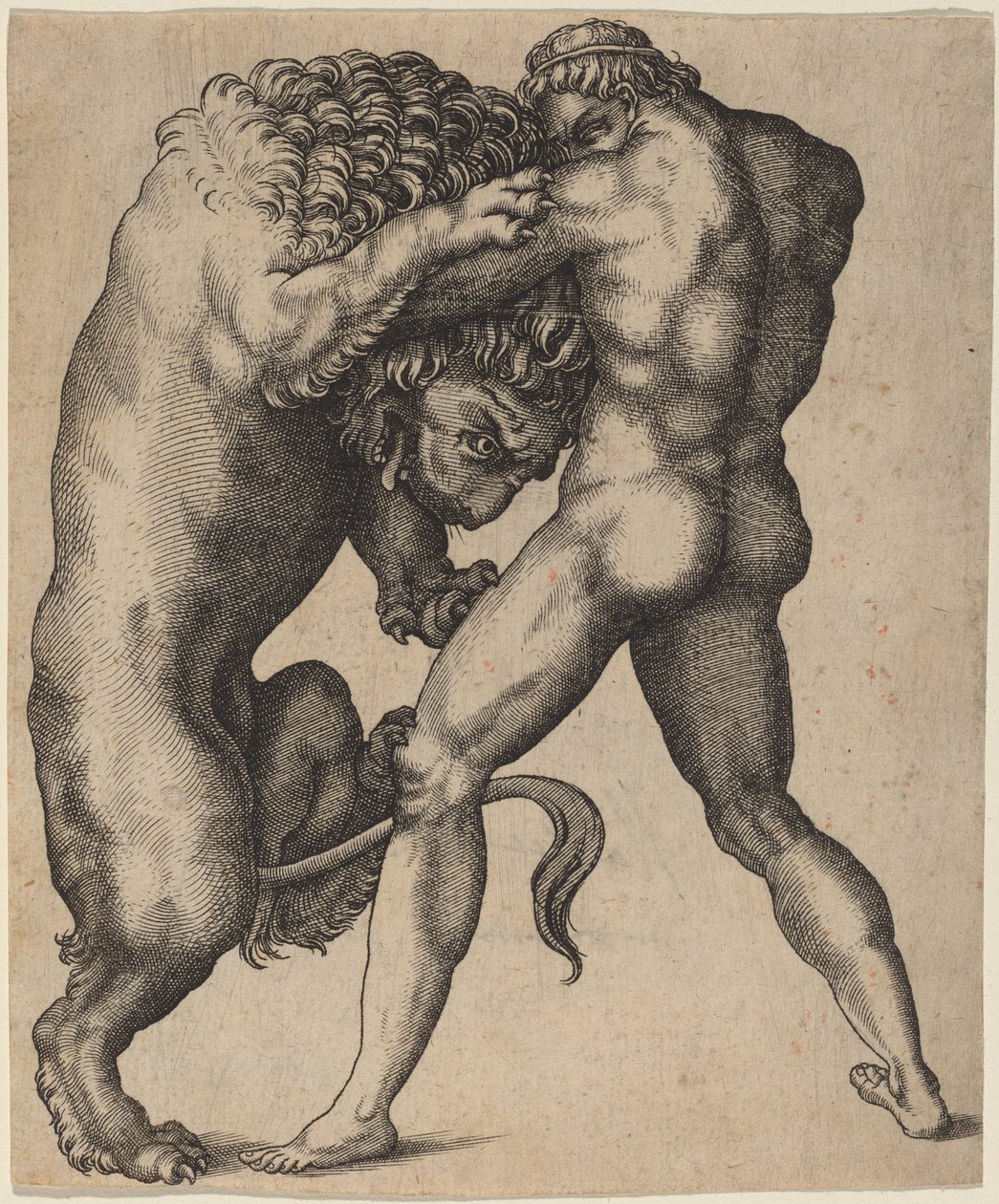 Herkules og Nemean-løven af Italian 16th Century