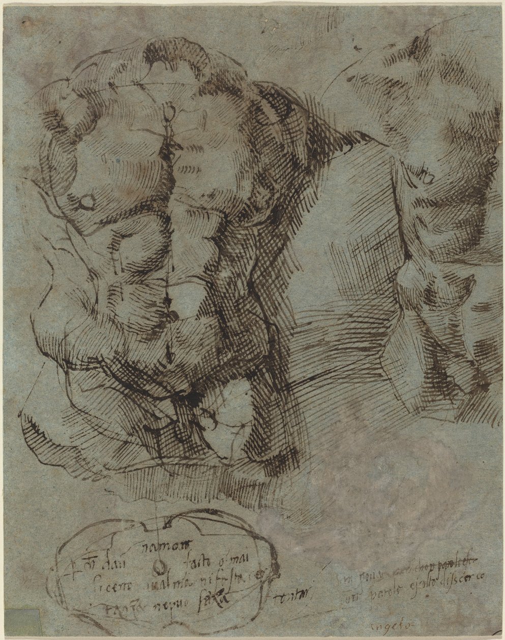 Studier af en mandlig torso af Italian 16th Century