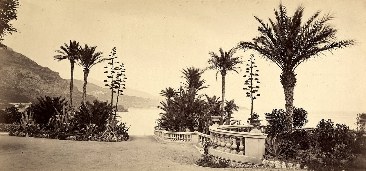 Haven ved kasinoet i Monte Carlo i Fyrstendømmet Monaco af Italian Photographer