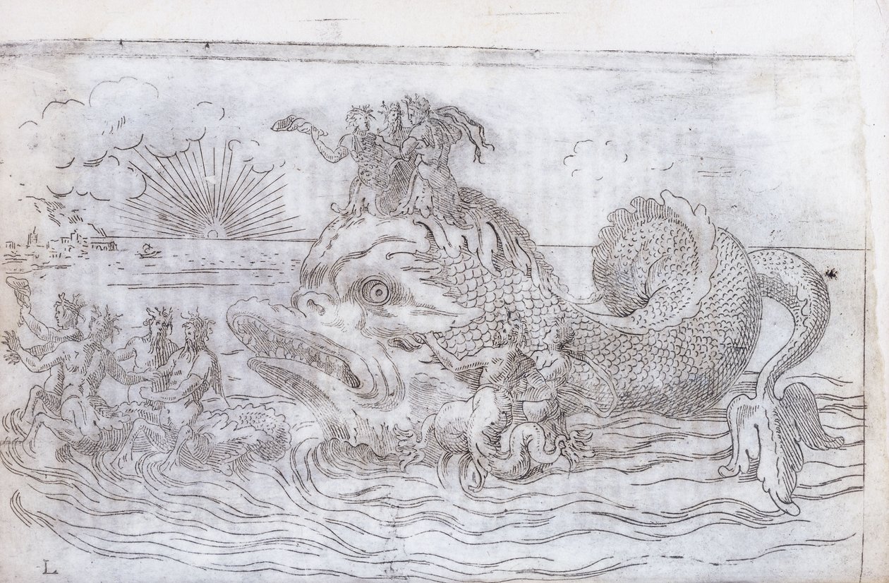 A Fantastical Fish Chariot, 1579dani af Italian School