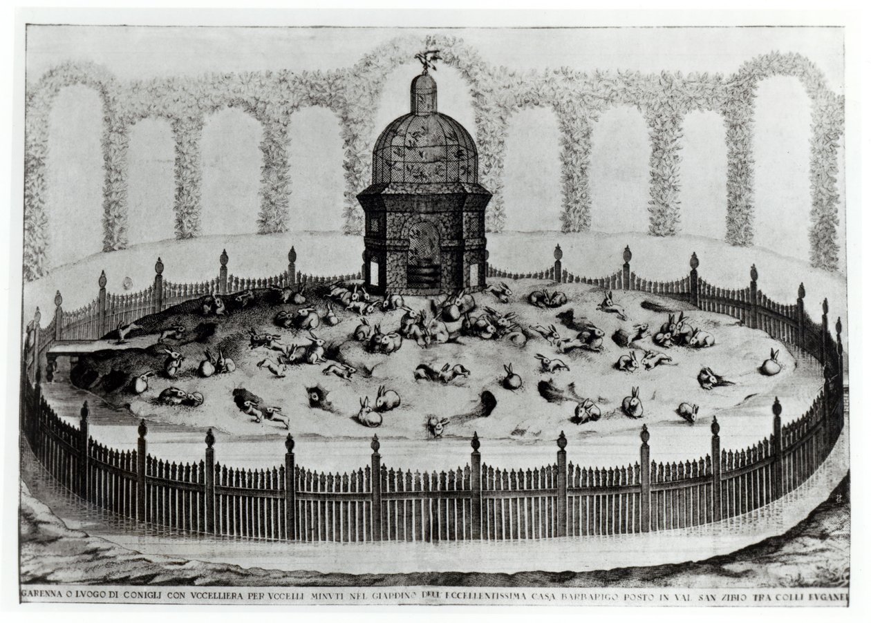 En kanin med voliere til små fugle, fra Le Fabbriche e i Giardini dellEcc. Casa Barbariga, af D. Rossetti, indgraveret af G. Campana, udgivet 1702 af Italian School