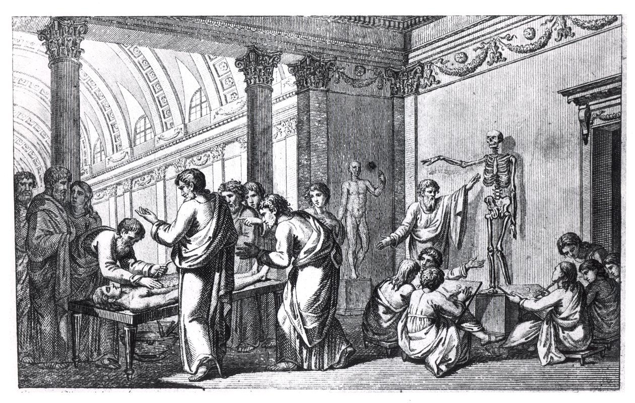 En skole for anatomi i antikken, fra Tabulae Anatomicae af Pietro Berrettini da Cortona (1596-1669) udgivet i Rom, 1778 af Italian School