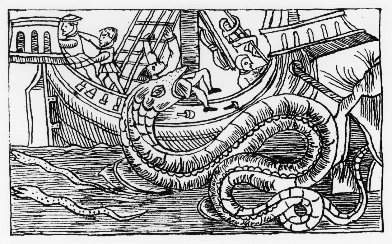 En havslange, fra "Historia de Gentibus Septentrionalibus" af Olaus Magnus (1490-1557) udgivet i Rom i 1555 af Italian School