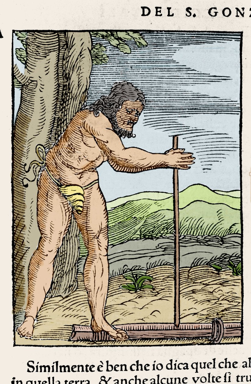 En indfødt mand tænder bål ved at gnide to stykker træ. Gravering fra "" Navigationi og Viaggi"" af Giovanni Battista Ramusio (1485-1557), vol. III, Venedig 1565. af Italian School