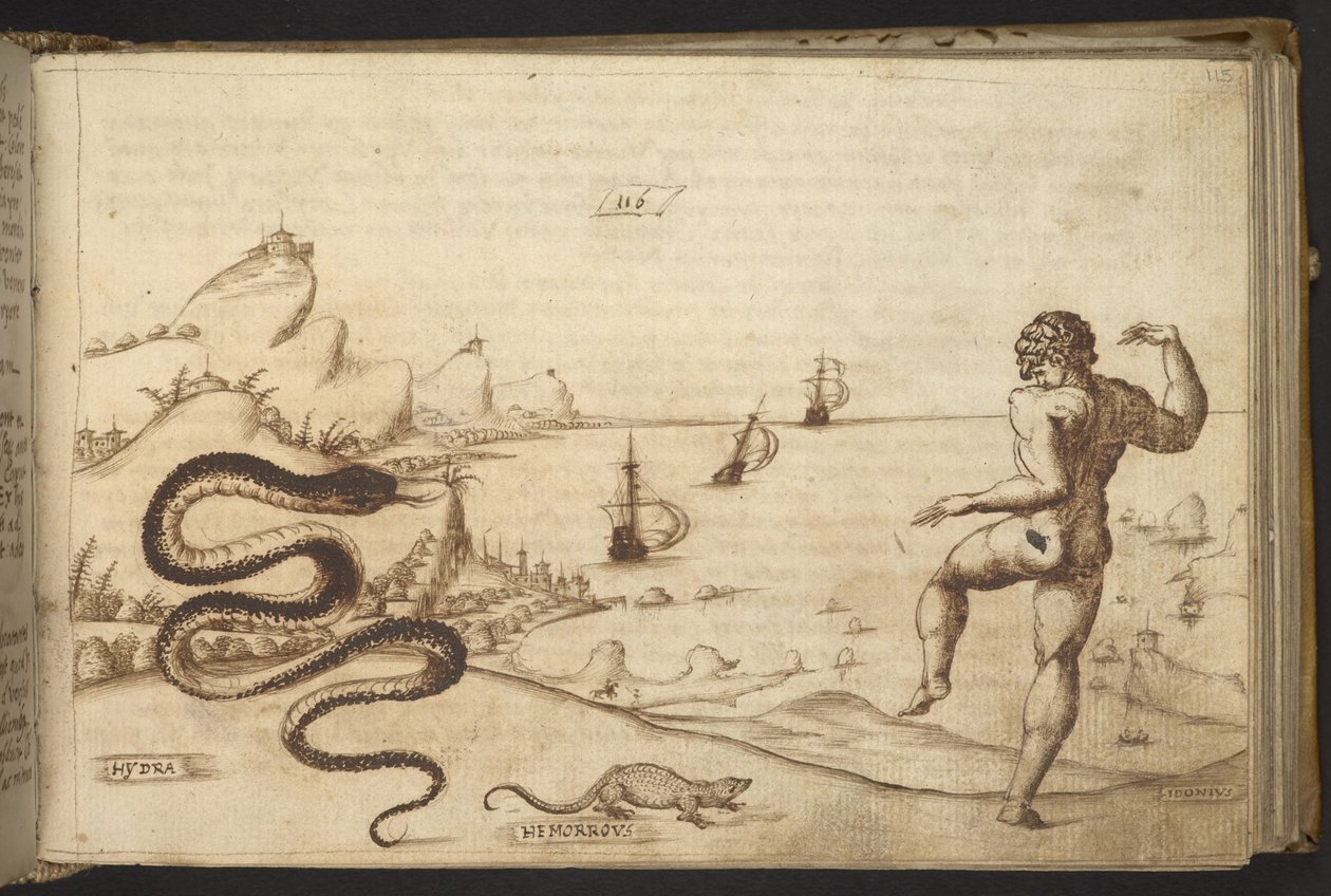 Tilføje. 82955, f.115 Slange (