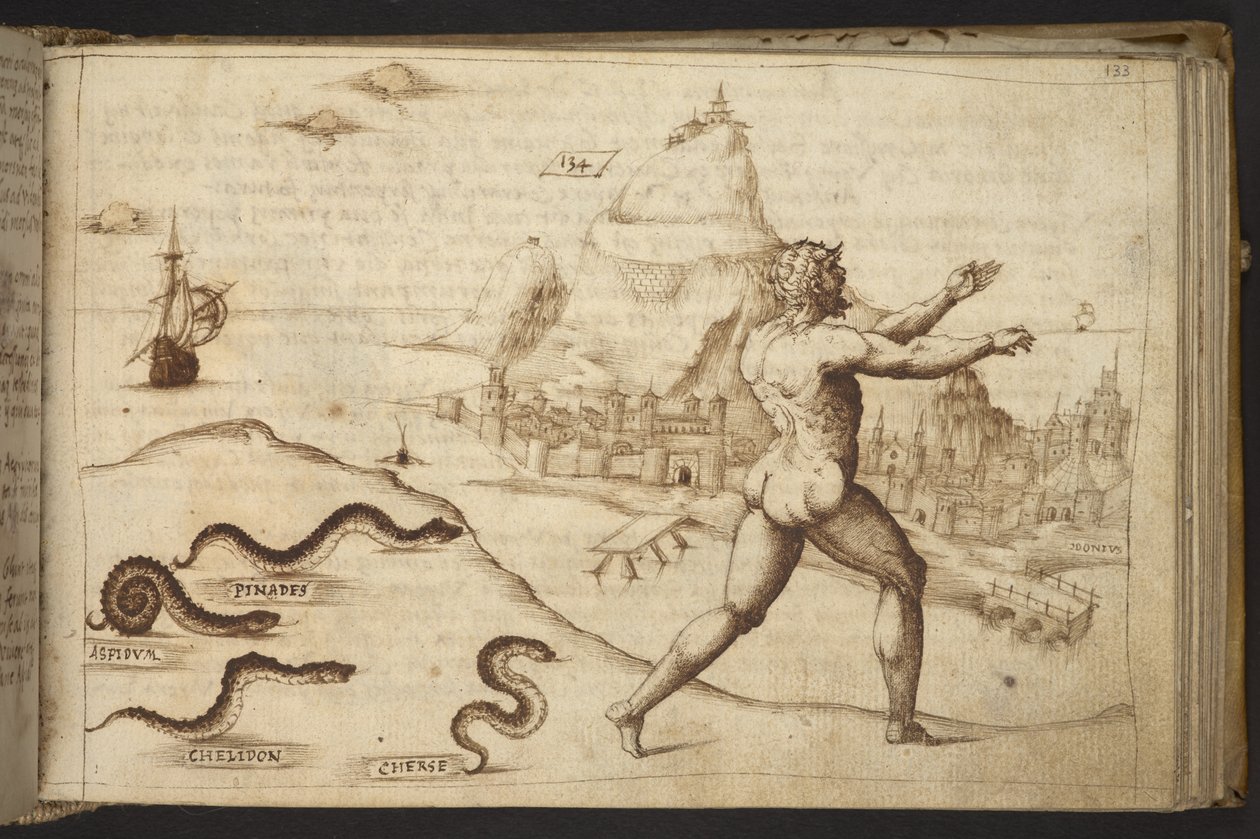 Tilføje. 82955, f.133   Slanger, der forfølger en menneskelig figur.  , fra Historia Animalium, (bestående af 245 pen-og-blæk-tegninger af forskellige dyrearter og mytiske væsner, hver ledsaget af en beskrivelse.)    1595 af Italian School