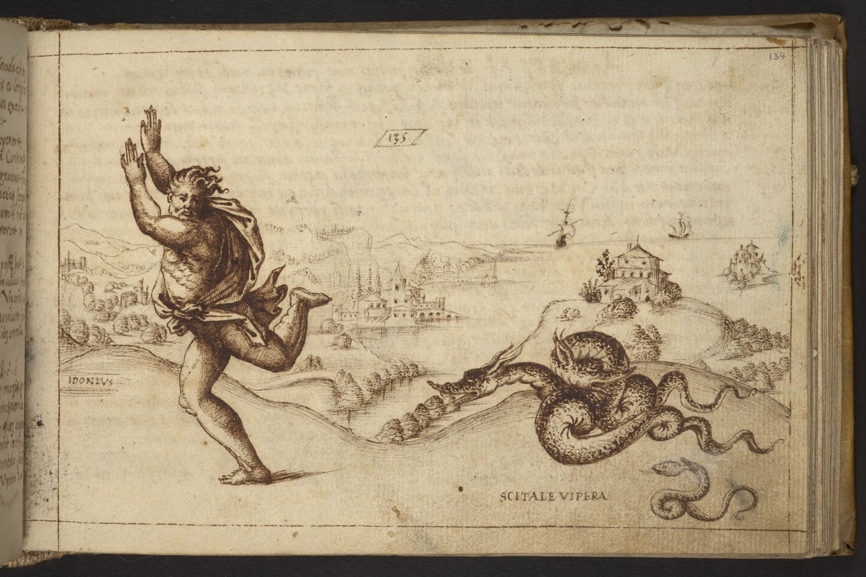 Tilføje. 82955, f.134 Menneskeskikkelse forfulgt af slanger., fra Historia Animalium af Italian School