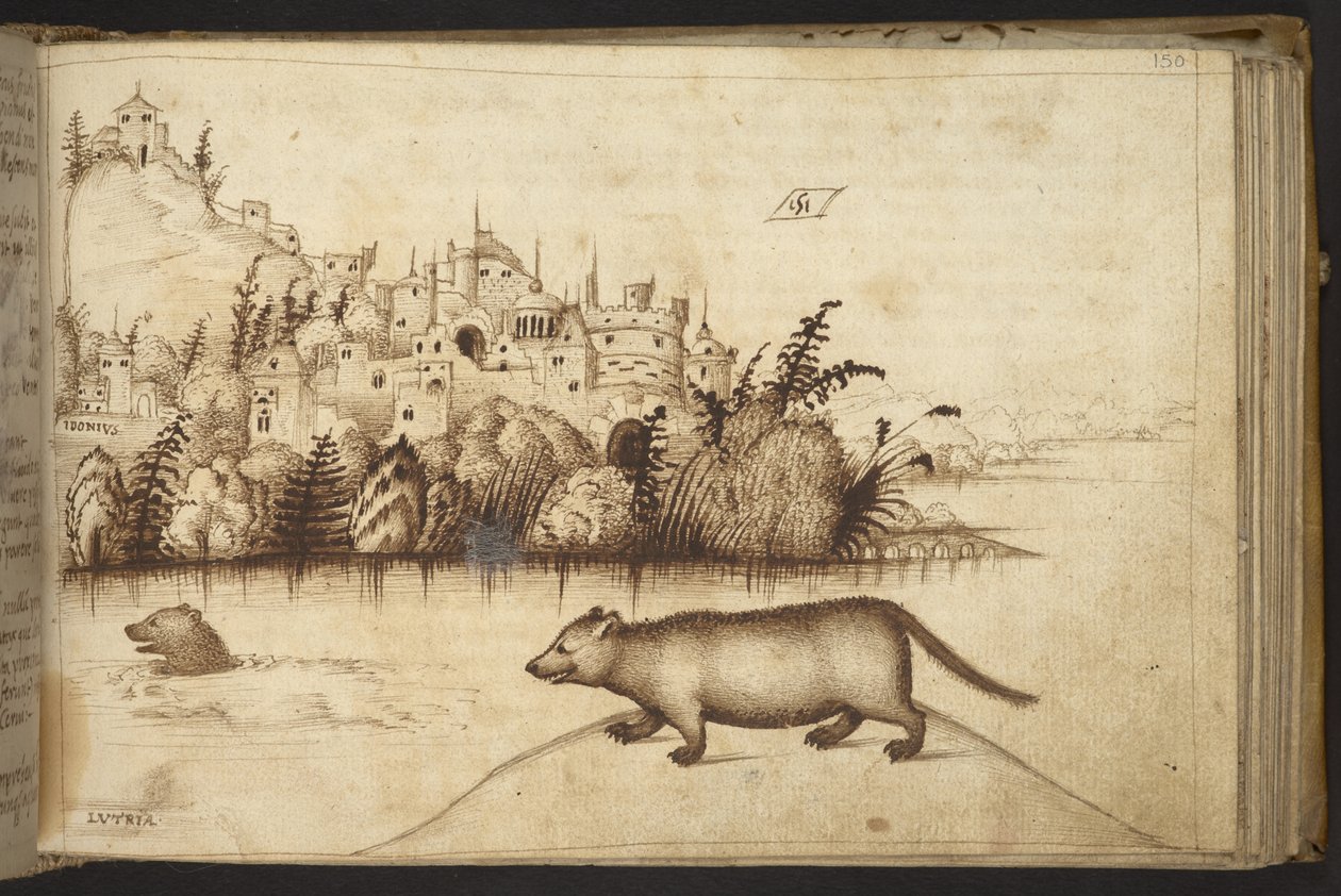 Tilføje. 82955, f.150 Ottere (