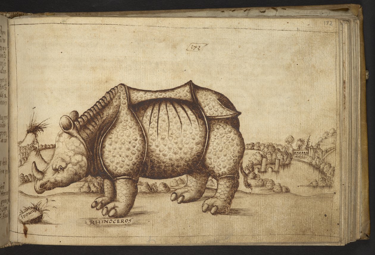 Tilføje. 82955, f. 172 Rhinocerous., fra Historia Animalium af Italian School