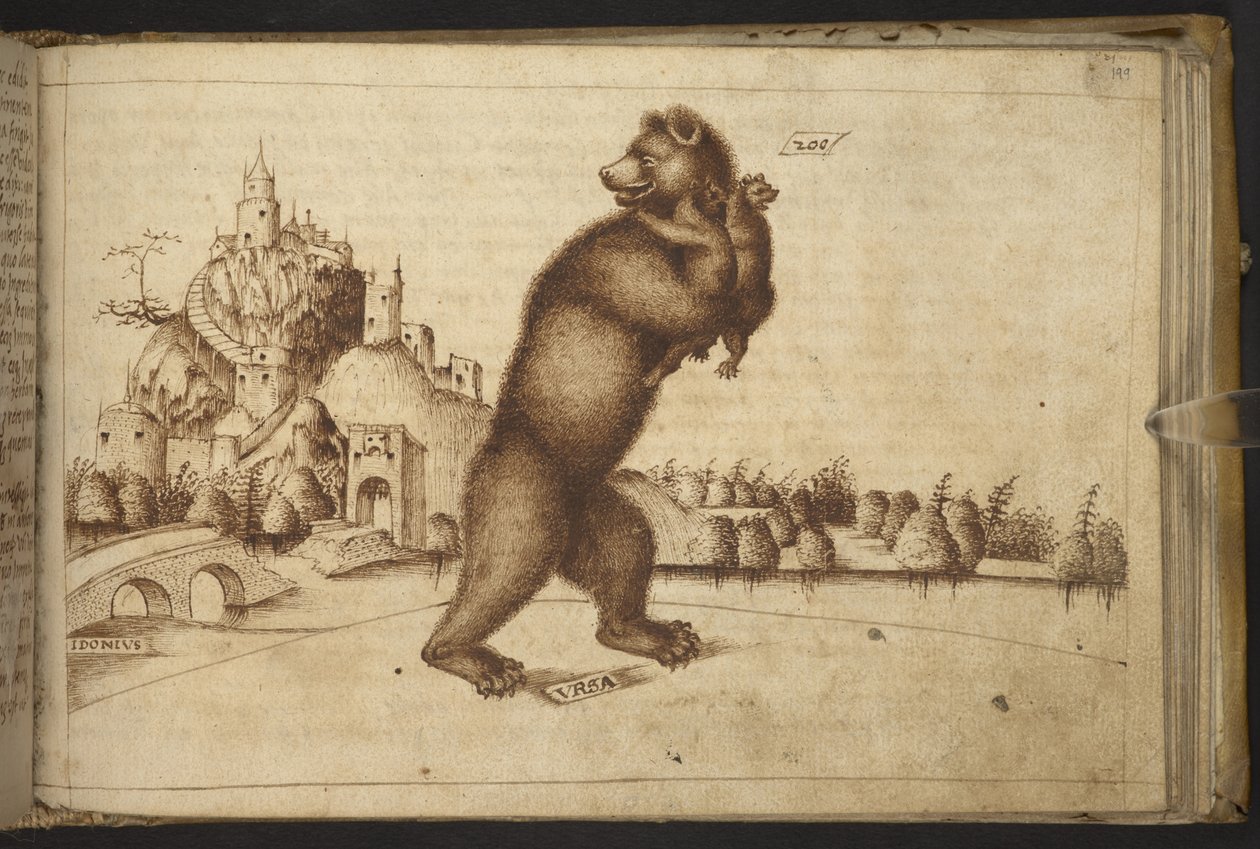 Tilføje. 82955, f.199   Bjørne (