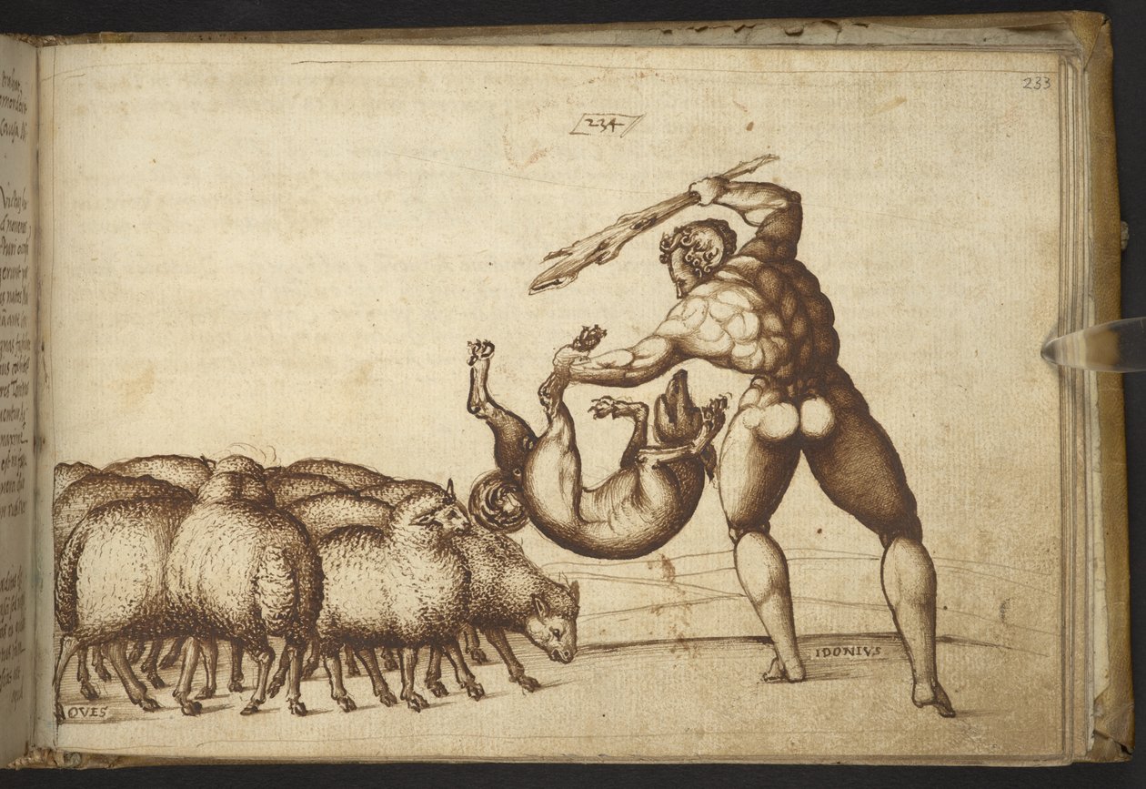 Tilføje. 82955, f.233 Får (