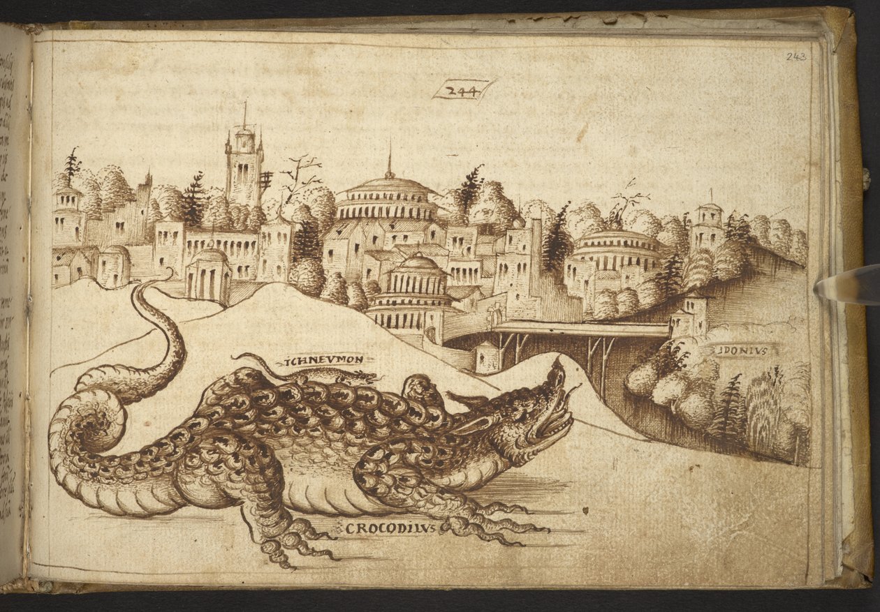 Tilføje. 82955, f.243 En krokodille (