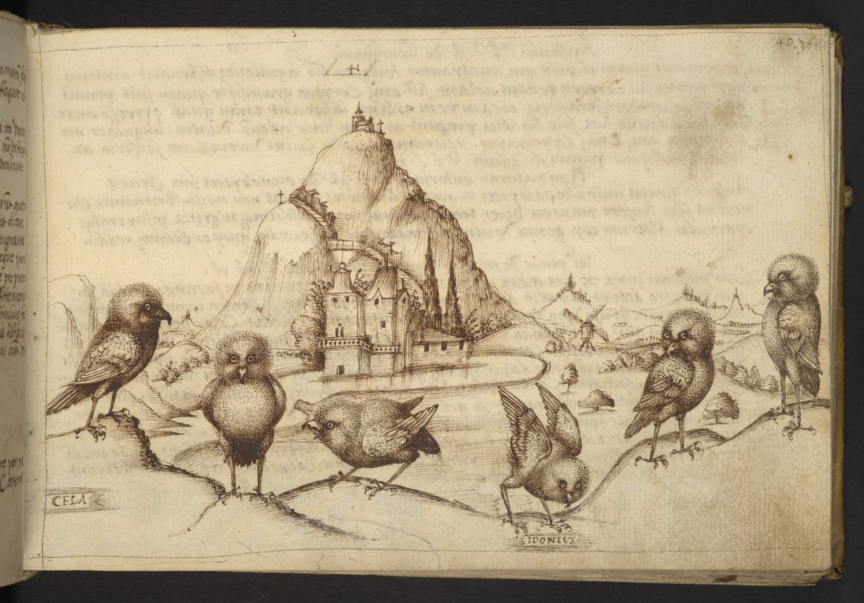 Tilføje. 82955, f.40 Fugle. (