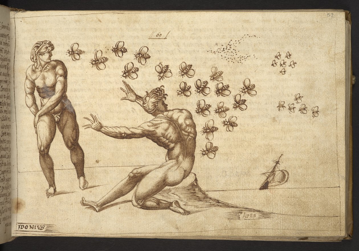 Tilføje. 82955, f.59 Bier (