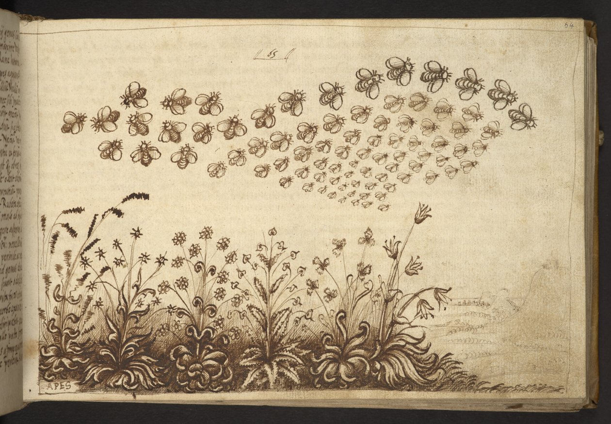 Tilføje. 82955, f.64 Bier (