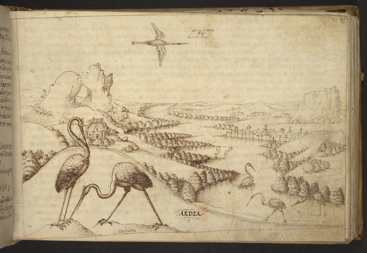 Tilføje. 82955, f.93 Hejre (