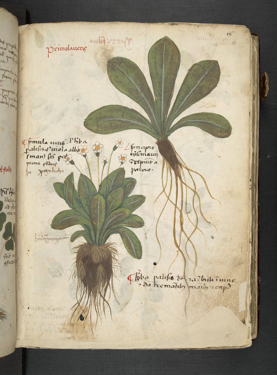 Tilføj MS 41623 