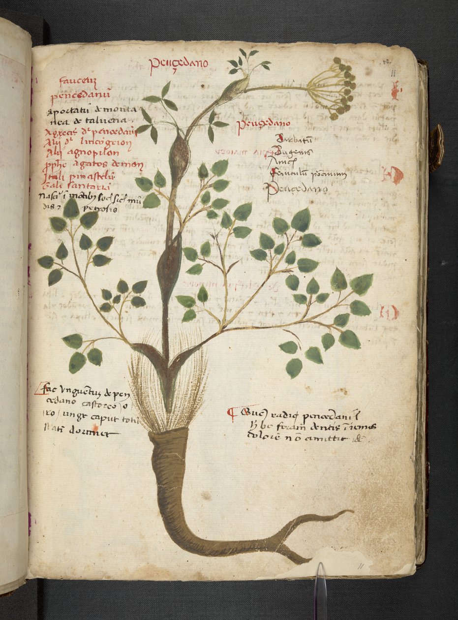 Tilføj MS 41623 