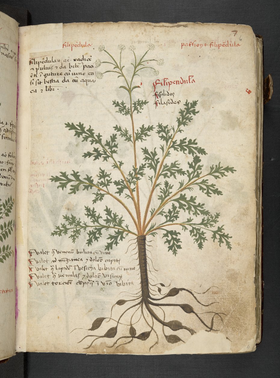 Tilføj MS 41623 