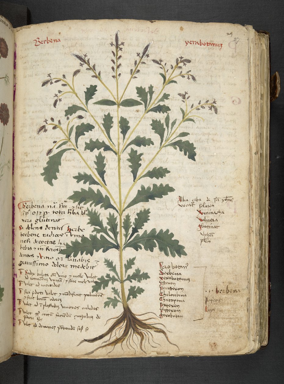 Tilføj MS 41623 