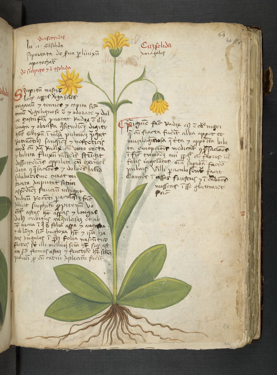 Tilføj MS 41623 