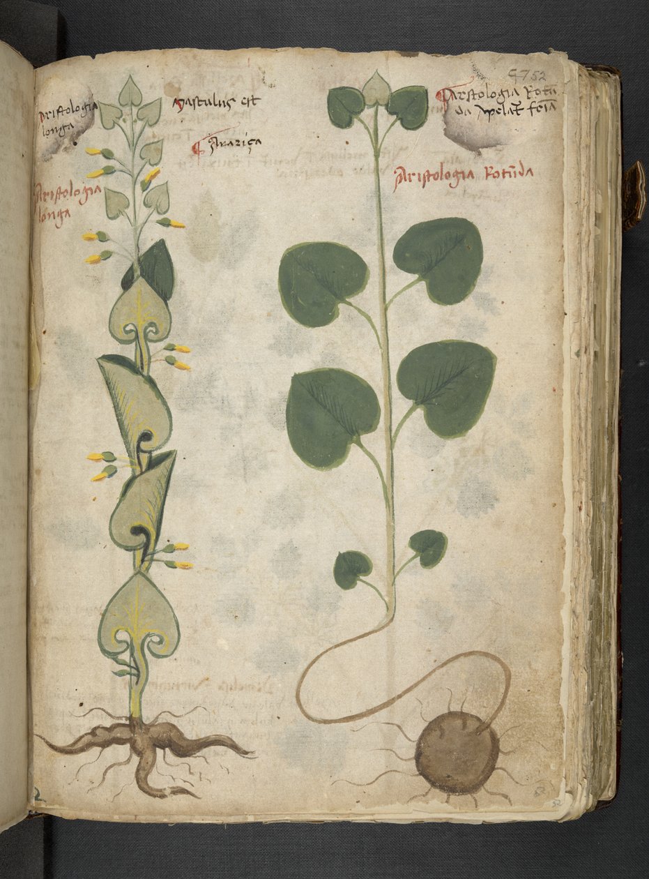 Tilføj MS 41623 