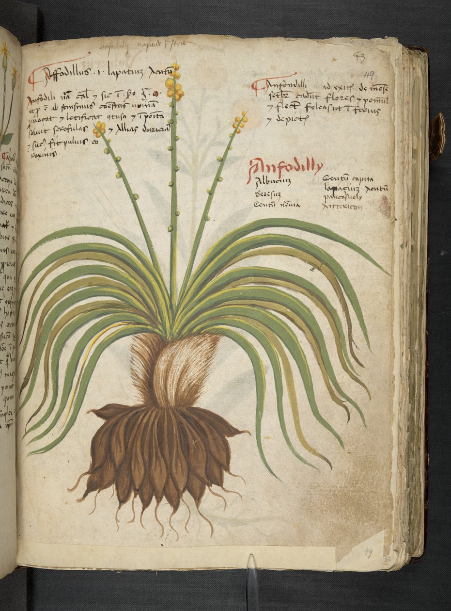 Tilføj MS 41623 