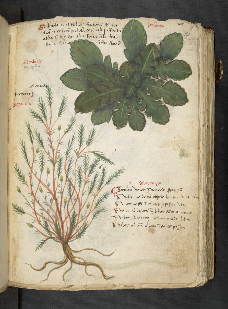 Tilføj MS 41623 